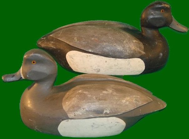 blue bill pair