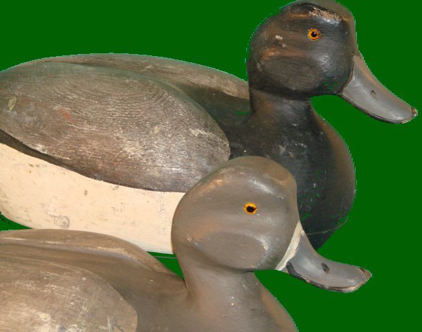 blue bill pair
