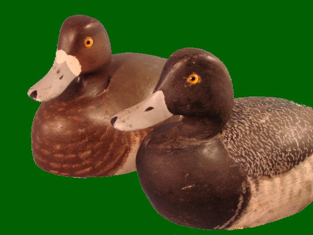 blue bill pair