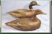 mallard pair decoys as logo